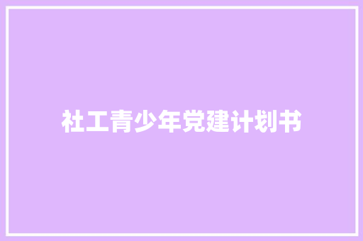 社工青少年党建计划书