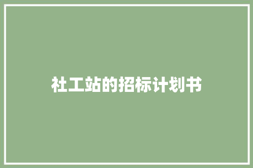 社工站的招标计划书