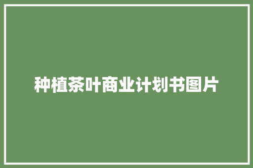 种植茶叶商业计划书图片
