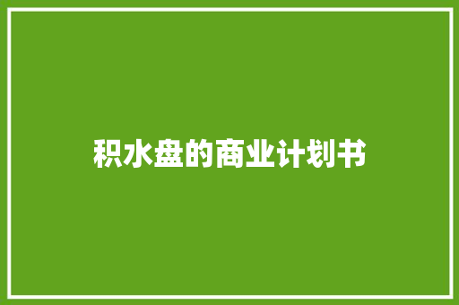 积水盘的商业计划书