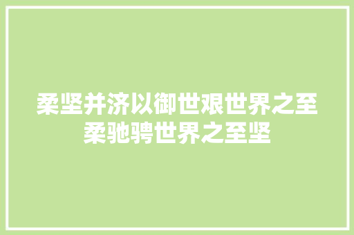 柔坚并济以御世艰世界之至柔驰骋世界之至坚
