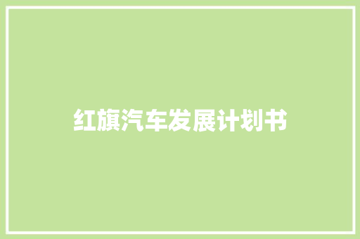 红旗汽车发展计划书