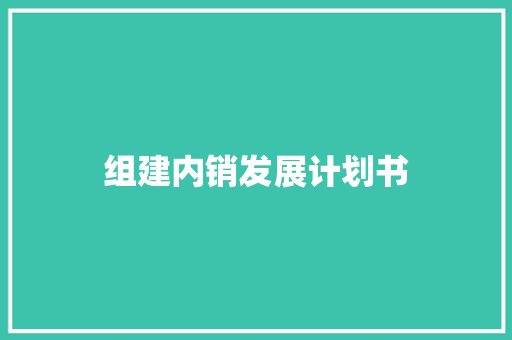 组建内销发展计划书