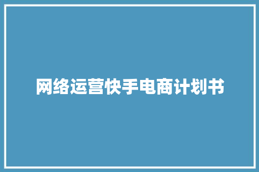 网络运营快手电商计划书