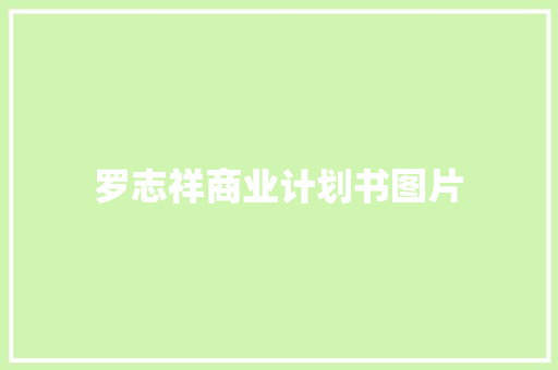 罗志祥商业计划书图片