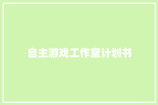 自主游戏工作室计划书