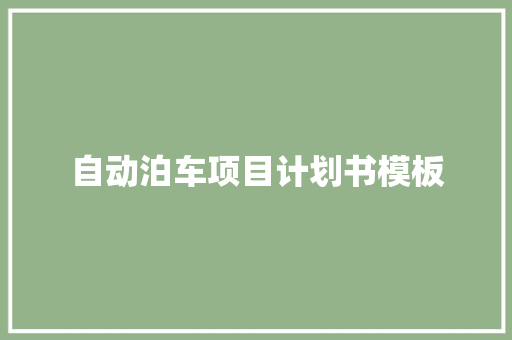 自动泊车项目计划书模板