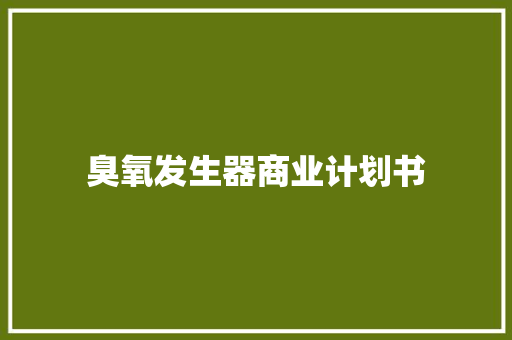 臭氧发生器商业计划书