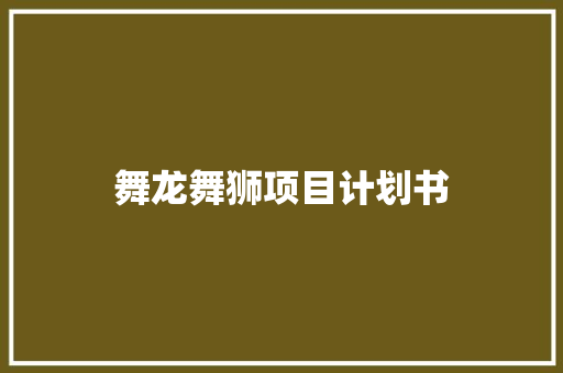 舞龙舞狮项目计划书