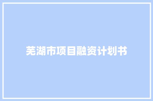 芜湖市项目融资计划书
