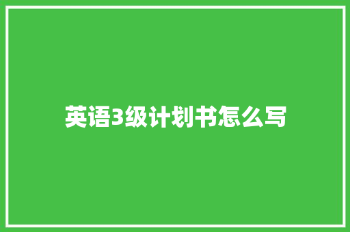 英语3级计划书怎么写