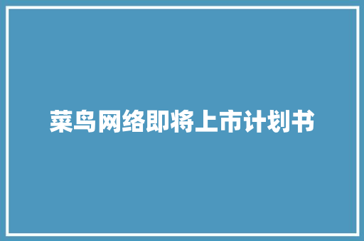 菜鸟网络即将上市计划书