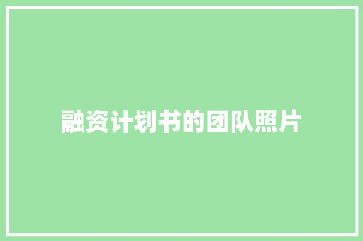 融资计划书的团队照片