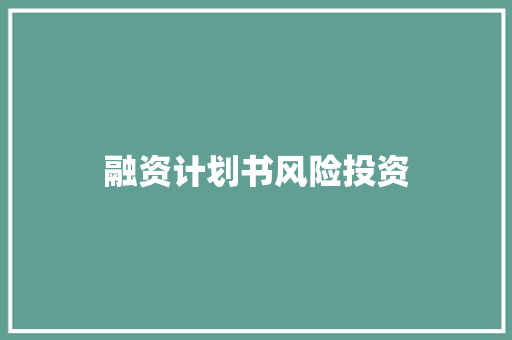 融资计划书风险投资