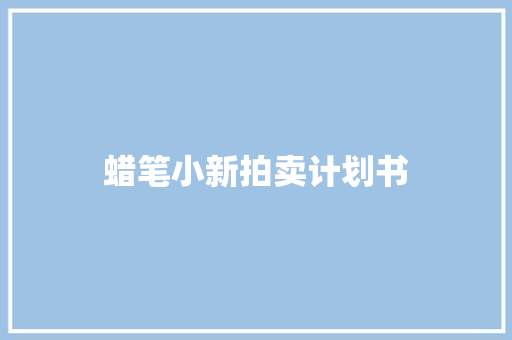 蜡笔小新拍卖计划书