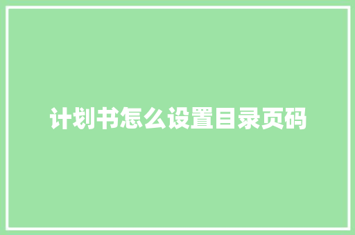 计划书怎么设置目录页码