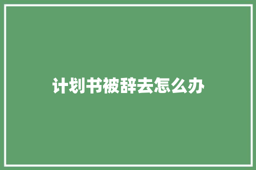 计划书被辞去怎么办