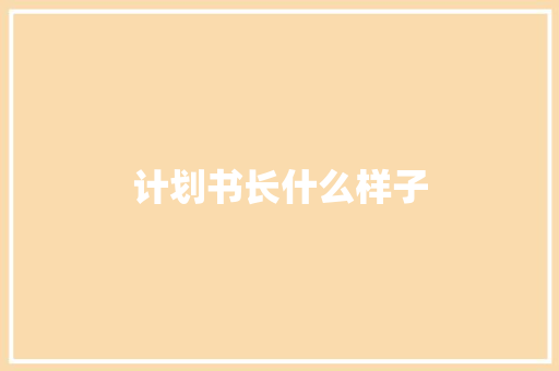 计划书长什么样子
