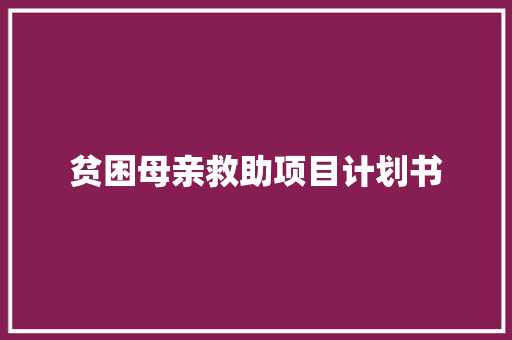 贫困母亲救助项目计划书