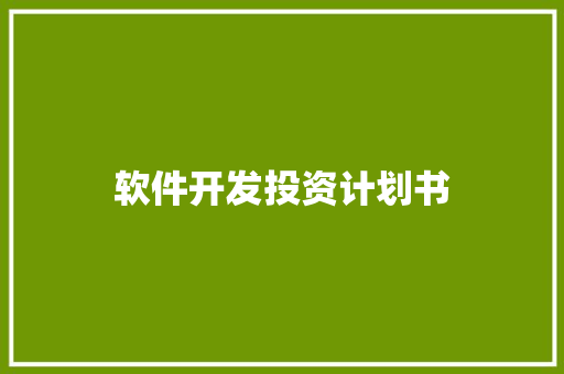 软件开发投资计划书