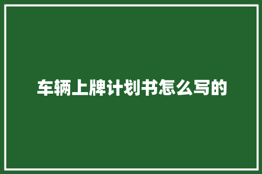车辆上牌计划书怎么写的