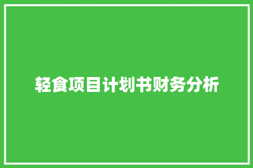 轻食项目计划书财务分析