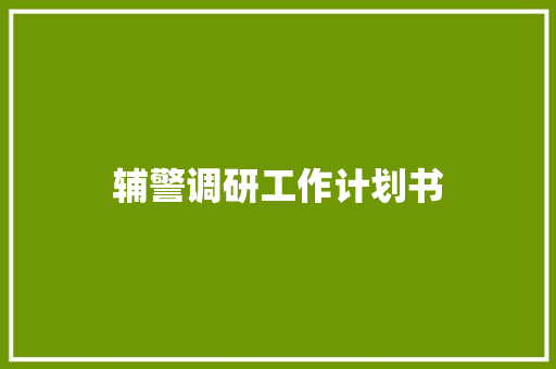 辅警调研工作计划书