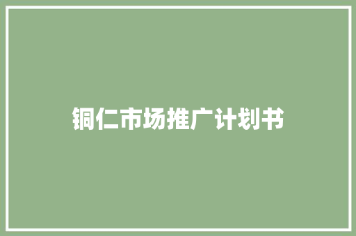 铜仁市场推广计划书