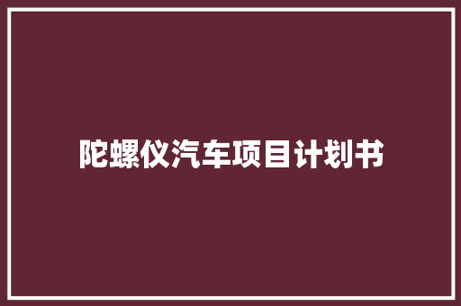 陀螺仪汽车项目计划书