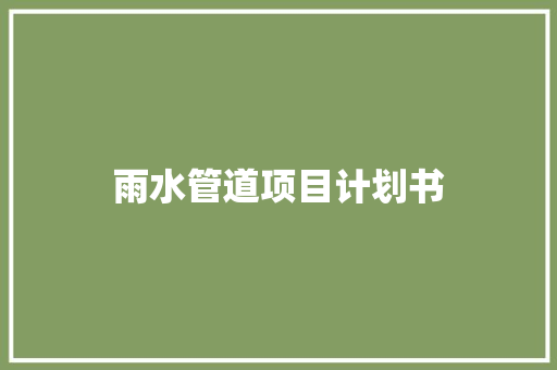 雨水管道项目计划书