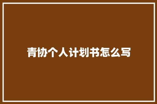 青协个人计划书怎么写