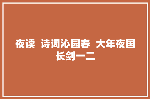 夜读  诗词沁园春  大年夜国长剑一二