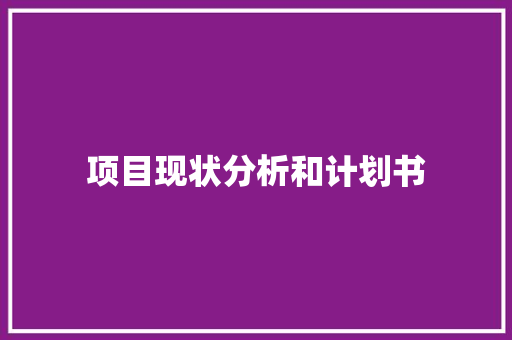项目现状分析和计划书