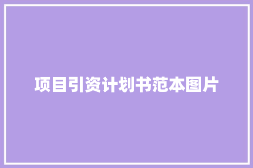 项目引资计划书范本图片