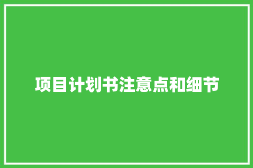 项目计划书注意点和细节