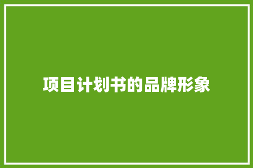 项目计划书的品牌形象