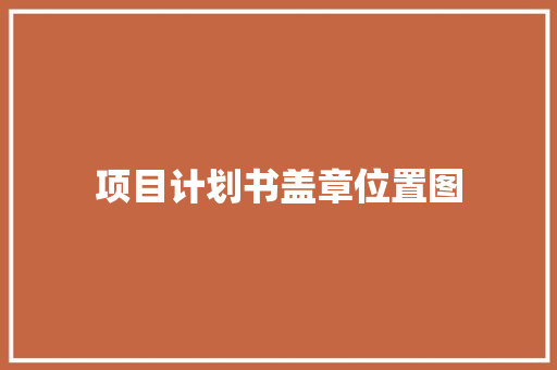 项目计划书盖章位置图