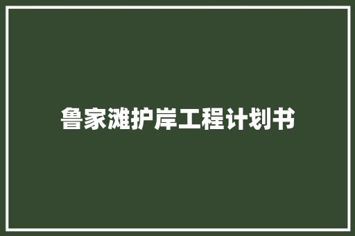 鲁家滩护岸工程计划书