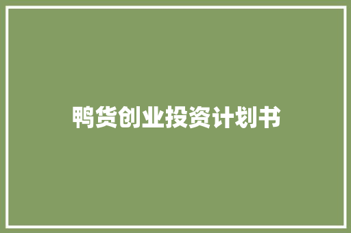 鸭货创业投资计划书