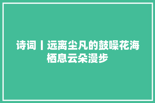 诗词丨远离尘凡的鼓噪花海栖息云朵漫步