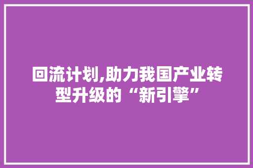 回流计划,助力我国产业转型升级的“新引擎”