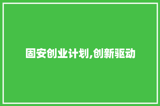 固安创业计划,创新驱动，引领未来发展