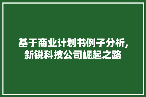 基于商业计划书例子分析,新锐科技公司崛起之路