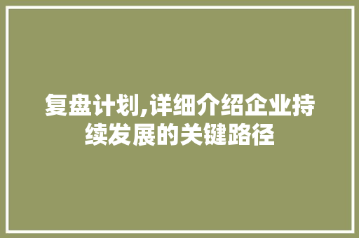 复盘计划,详细介绍企业持续发展的关键路径