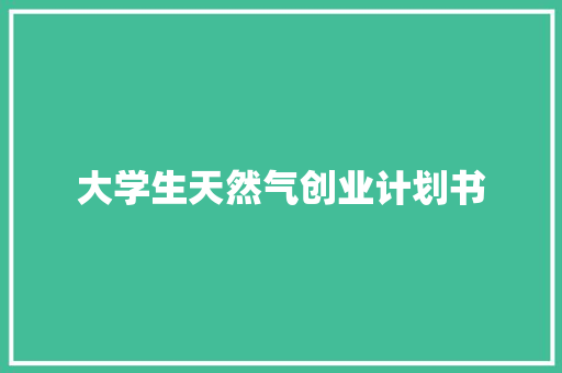 大学生天然气创业计划书