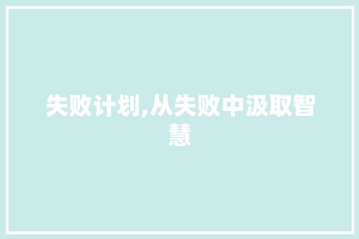 失败计划,从失败中汲取智慧，铸就成功之路
