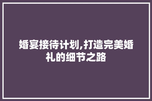 婚宴接待计划,打造完美婚礼的细节之路