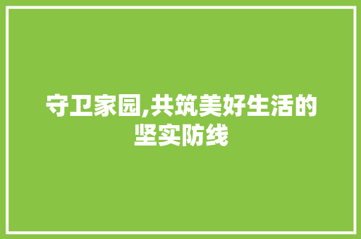 守卫家园,共筑美好生活的坚实防线