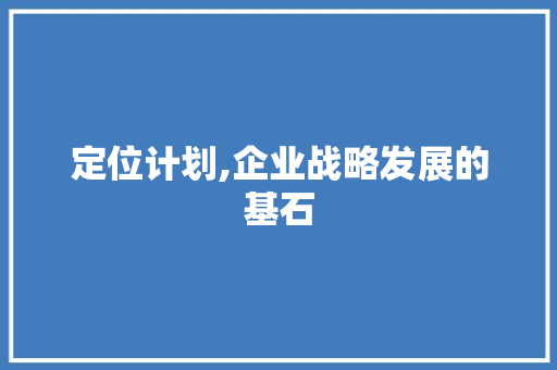 定位计划,企业战略发展的基石