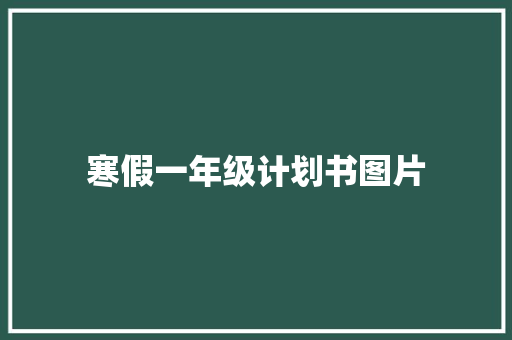 寒假一年级计划书图片